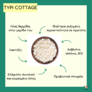 cottage τυρί και διατροφή